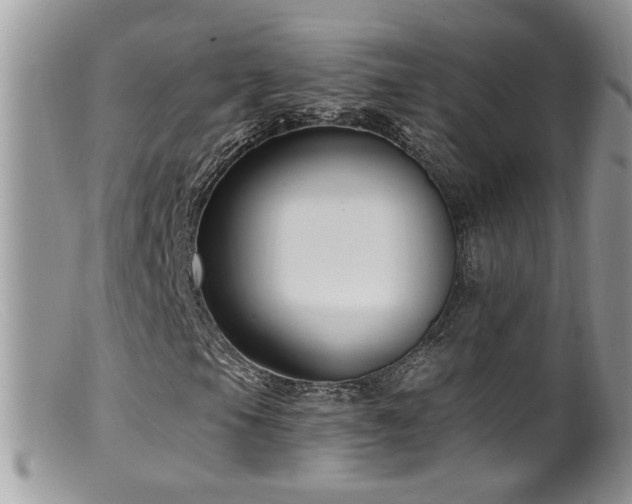 X0000099521105200805151517