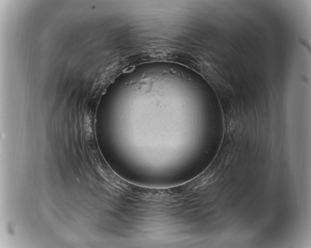 X0000099521106200805151517