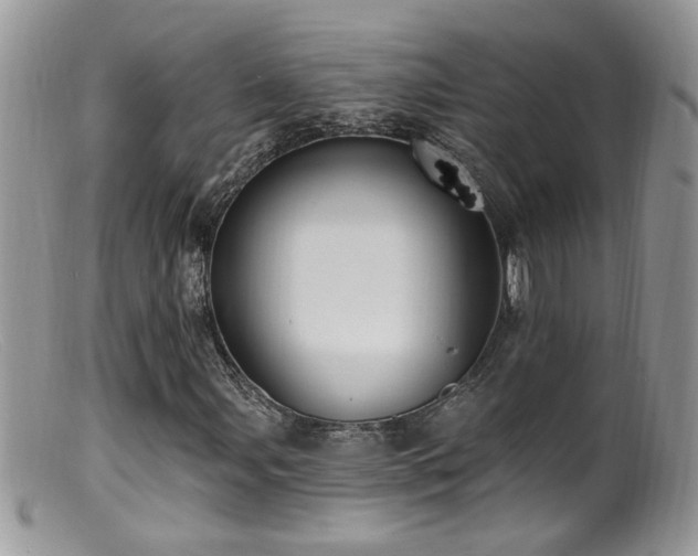 X0000099521107200805151517