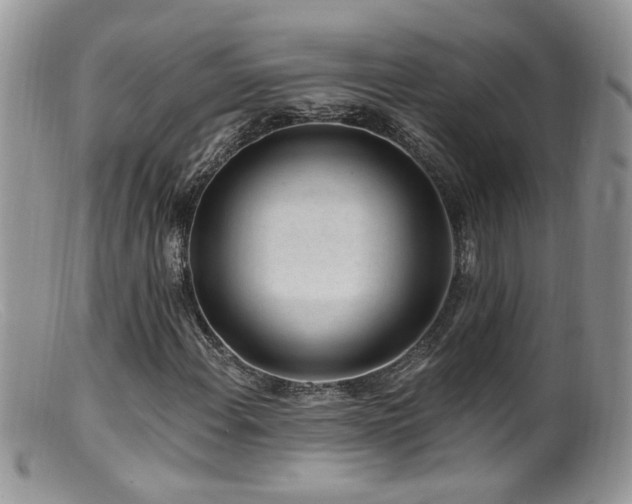 X0000099521108200805151517