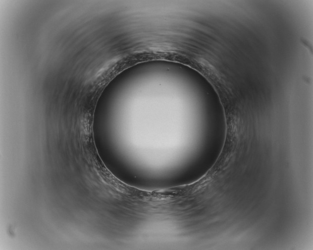 X0000099521110200805151517
