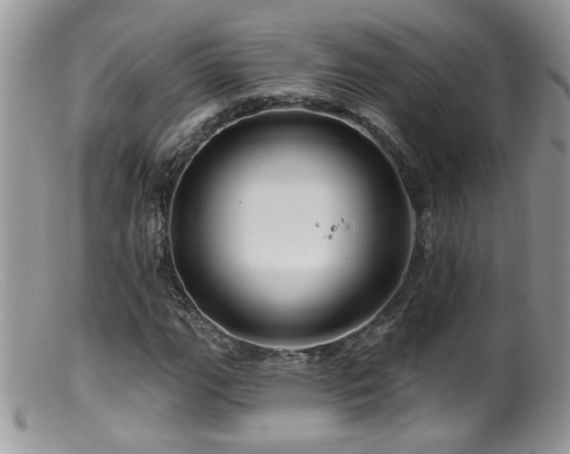 X0000099521111200805151517