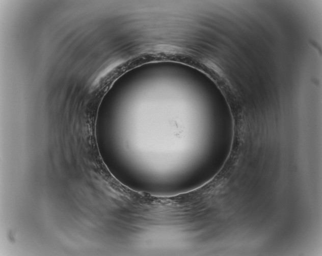 X0000099521112200805151517