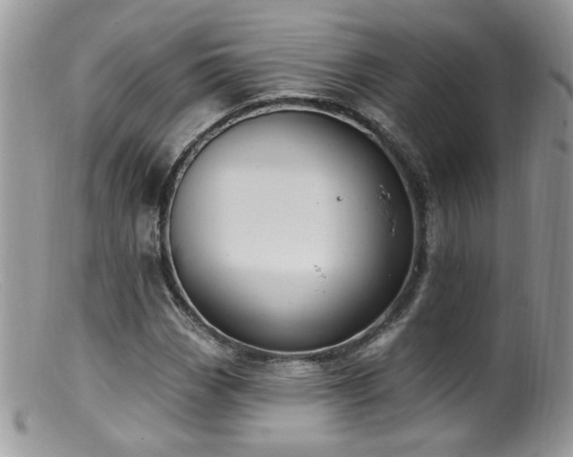 X0000099521113200805151517