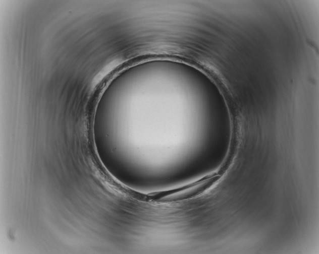 X0000099521114200805151517
