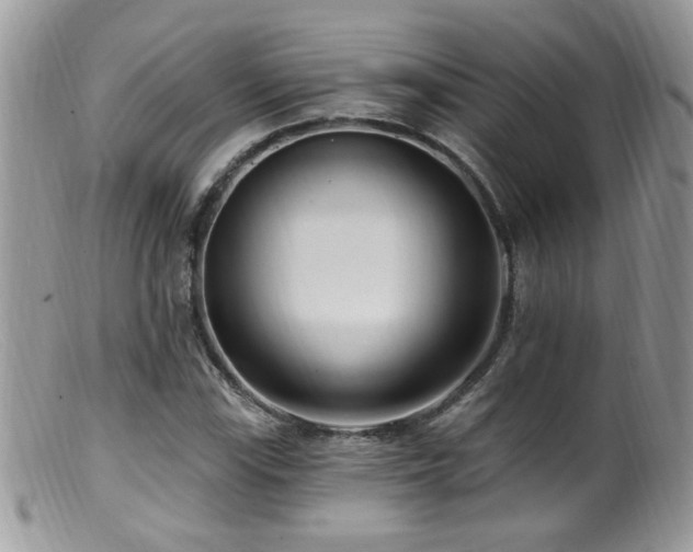 X0000099521115200805151517