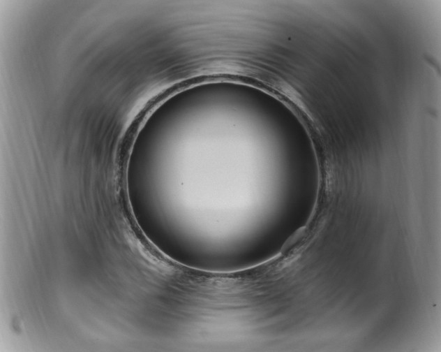 X0000099521116200805151517