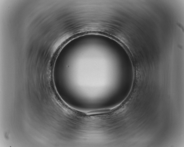 X0000099521119200805151517