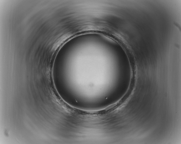 X0000099521121200805151517
