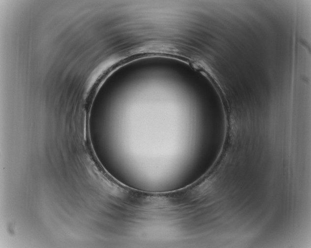 X0000099521123200805151517