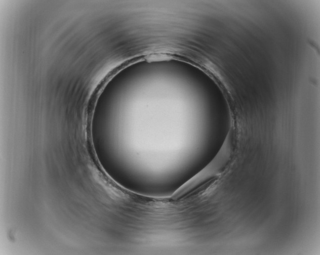X0000099521124200805151518