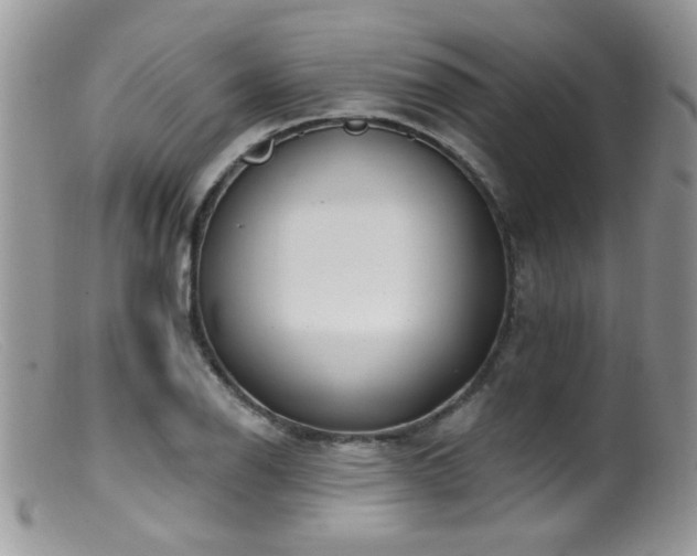 X0000099521126200805151518