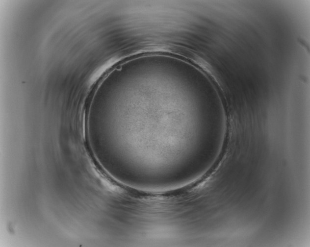 X0000099521127200805151518