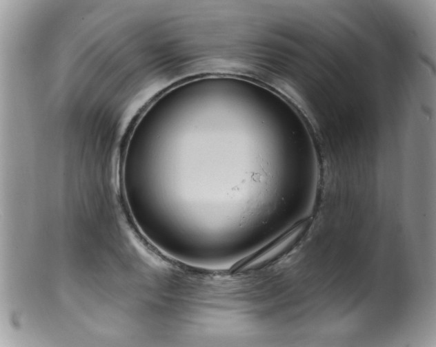 X0000099521128200805151518