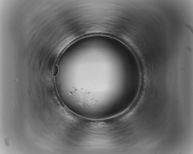X0000099521129200805151518