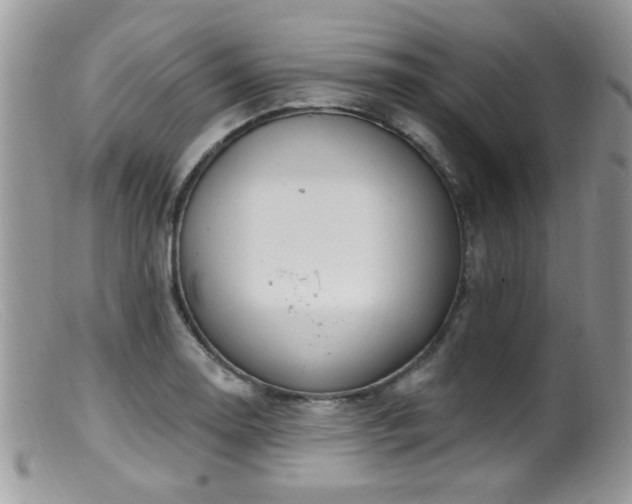 X0000099521130200805151518