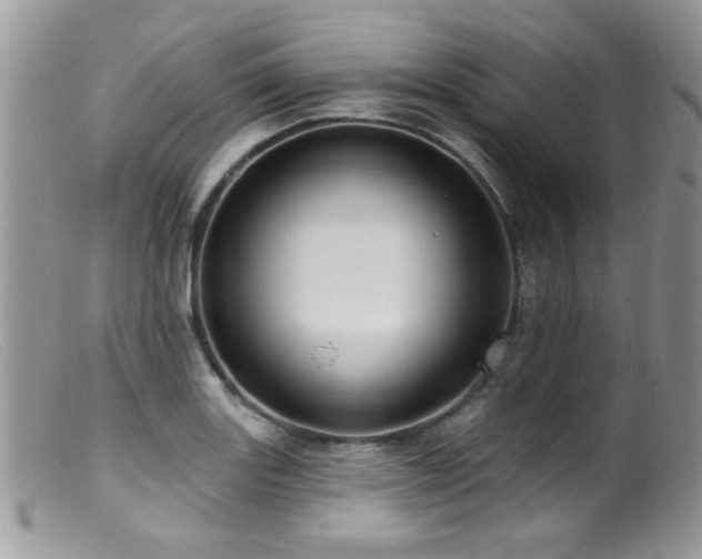X0000099521131200805151518