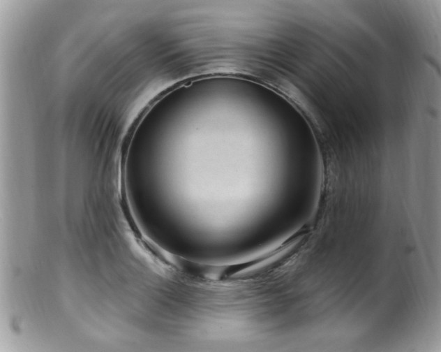 X0000099521132200805151518