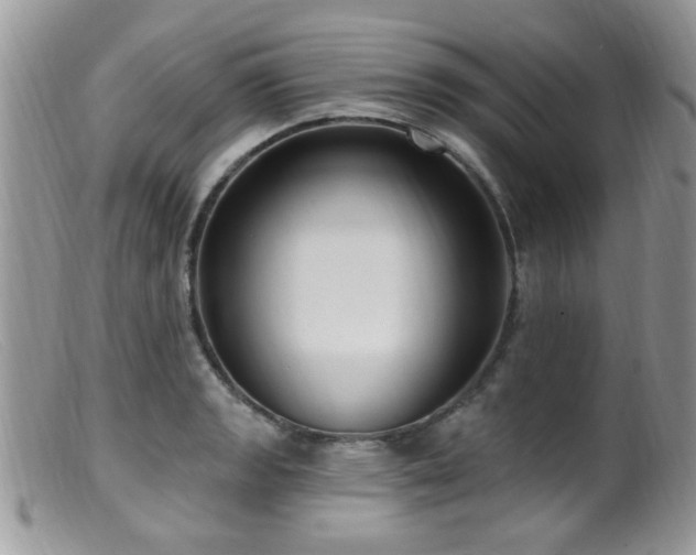 X0000099521133200805151518