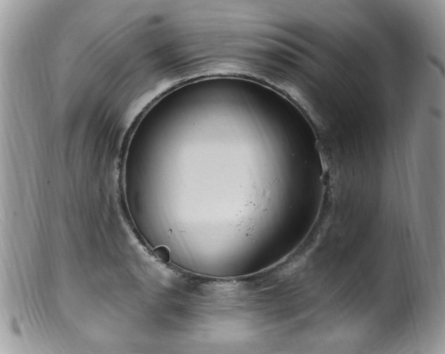 X0000099521134200805151518