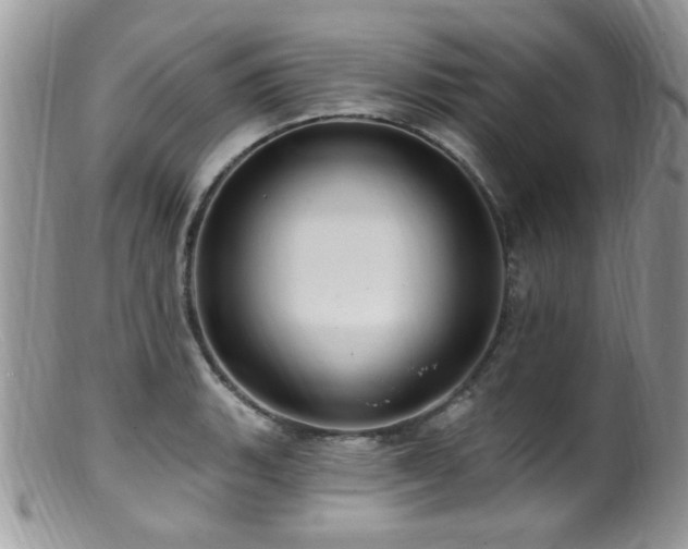 X0000099521135200805151518