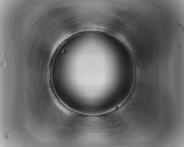 X0000099521136200805151518
