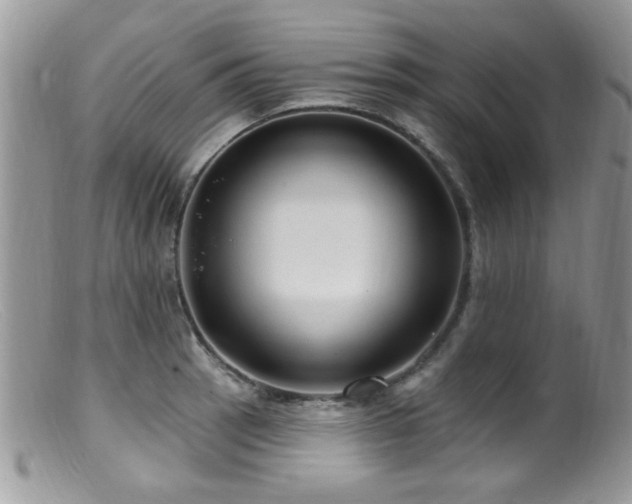 X0000099521137200805151518