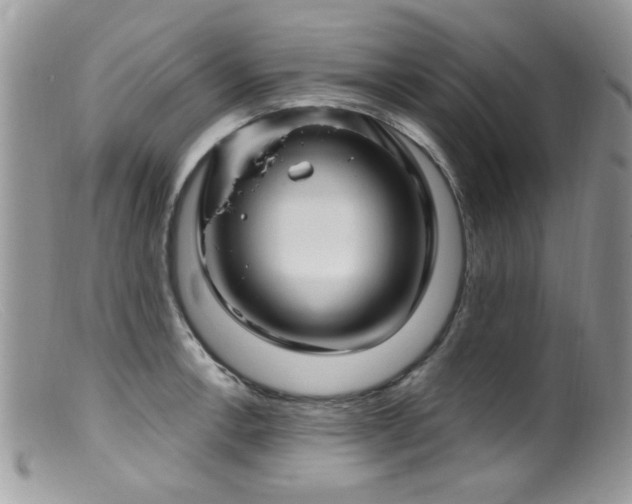 X0000099521138200805151518