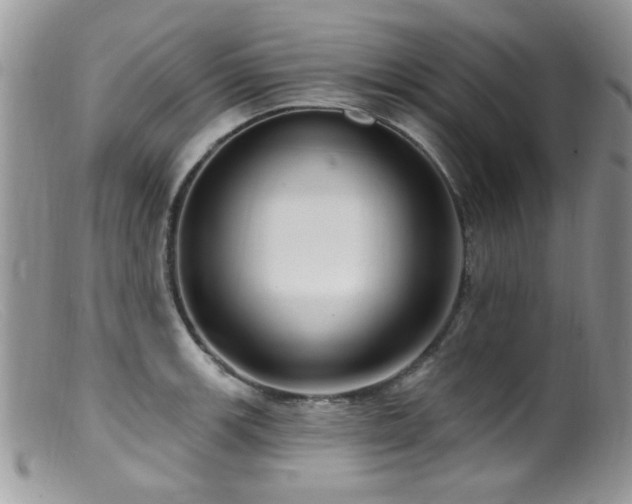 X0000099521139200805151518