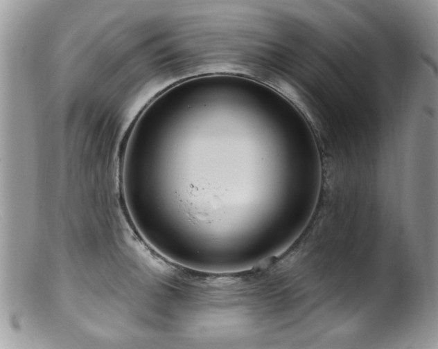 X0000099521140200805151518