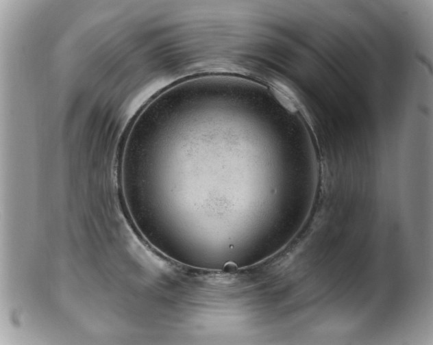 X0000099521141200805151518