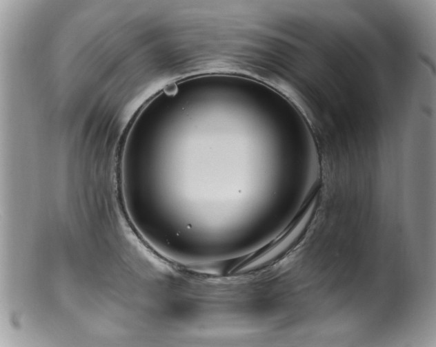 X0000099521142200805151518
