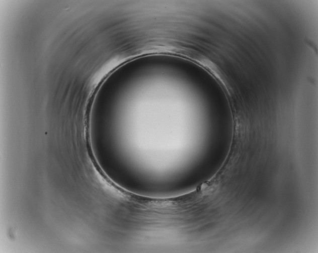 X0000099521143200805151518