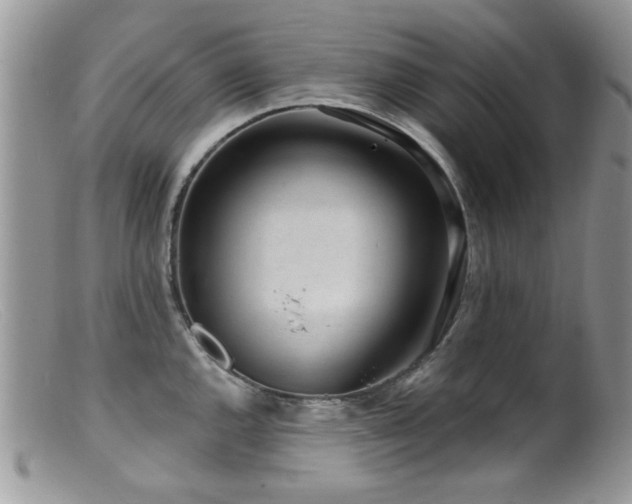 X0000099521144200805151518