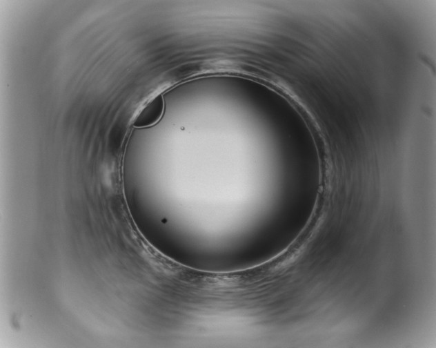X0000099521145200805151518