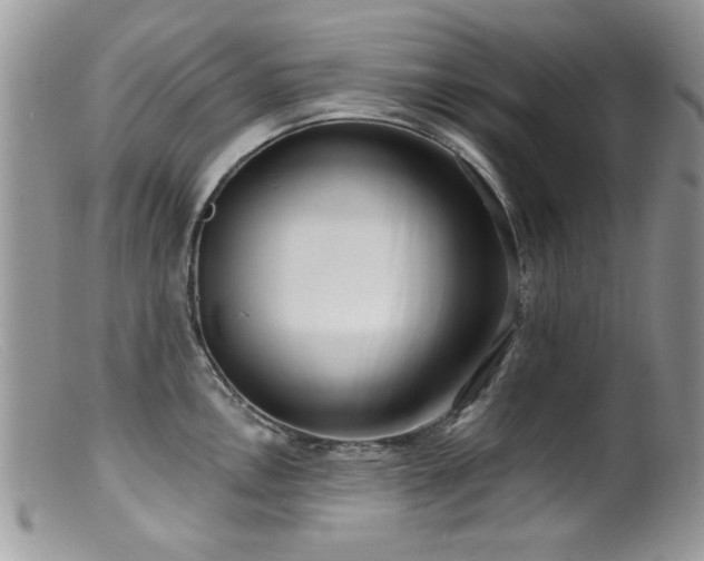 X0000099521146200805151518
