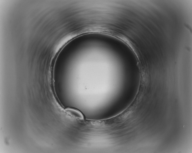 X0000099521147200805151518