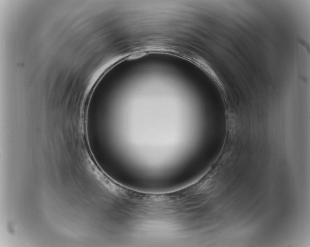 X0000099521148200805151518