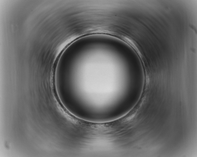 X0000099521149200805151518
