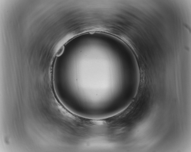X0000099521151200805151518
