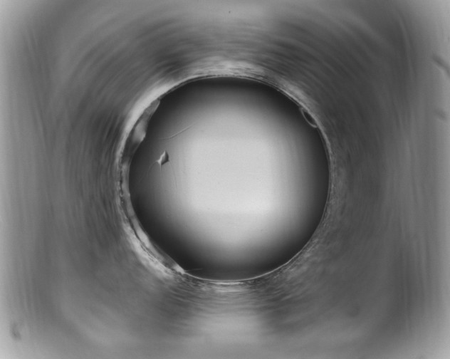 X0000099521152200805151518