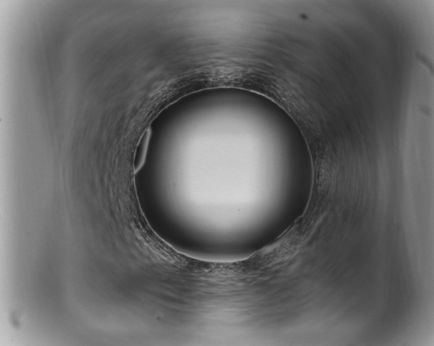 X0000099521153200805151517