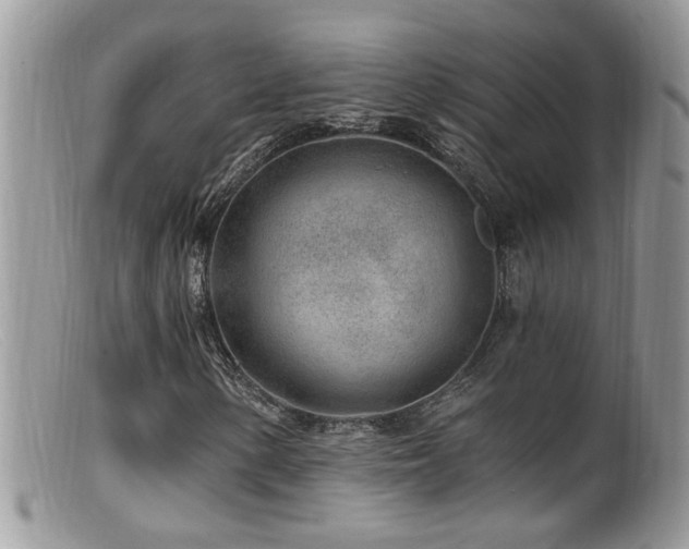 X0000099521154200805151517
