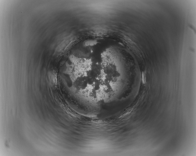 X0000099521155200805151517