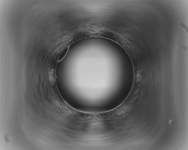 X0000099521156200805151517