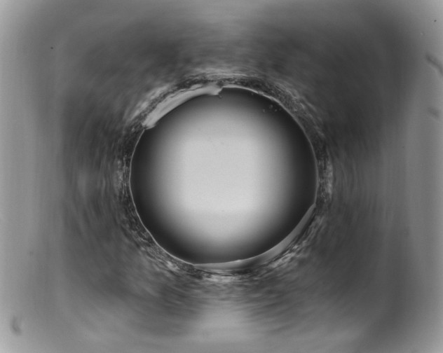 X0000099521157200805151517