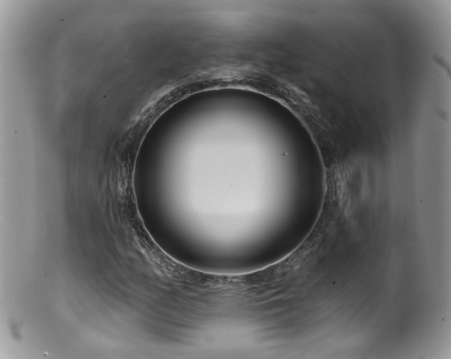 X0000099521158200805151517