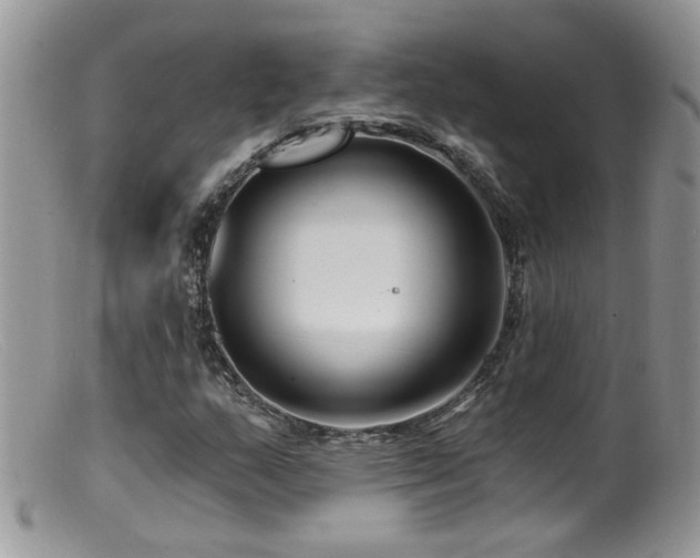 X0000099521159200805151517