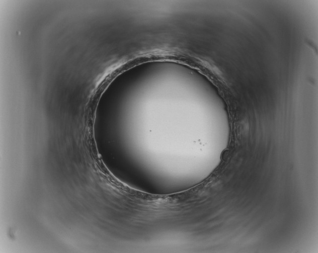 X0000099521160200805151517