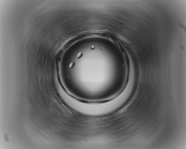 X0000099521161200805151517